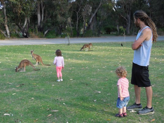Geocaching Kangaroos